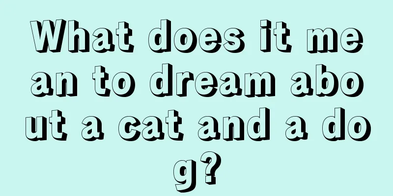 What does it mean to dream about a cat and a dog?