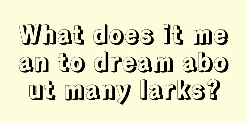 What does it mean to dream about many larks?