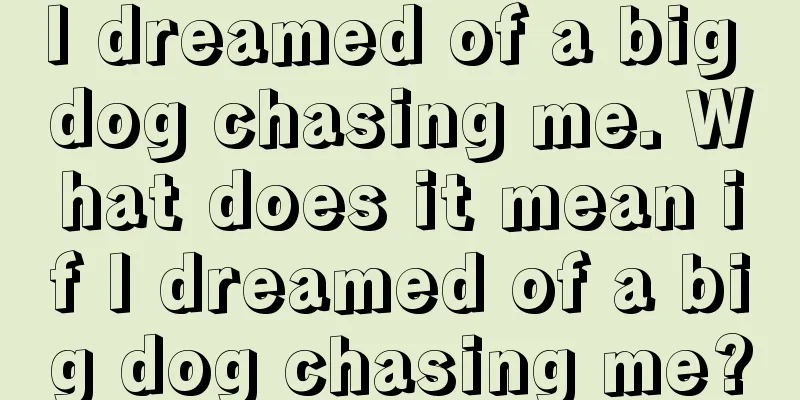 I dreamed of a big dog chasing me. What does it mean if I dreamed of a big dog chasing me?