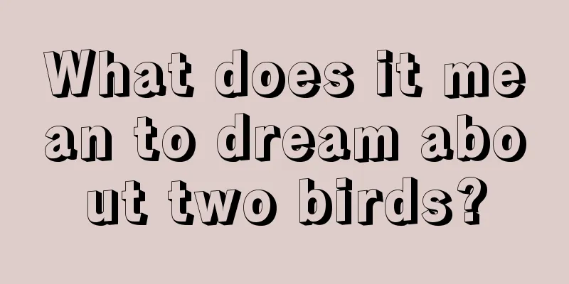 What does it mean to dream about two birds?