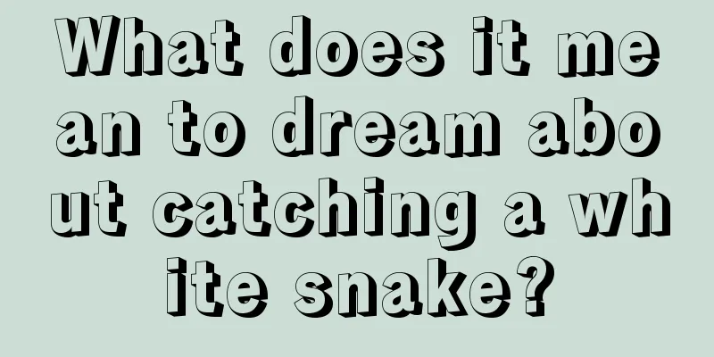 What does it mean to dream about catching a white snake?