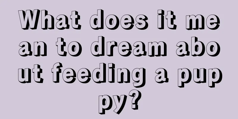 What does it mean to dream about feeding a puppy?