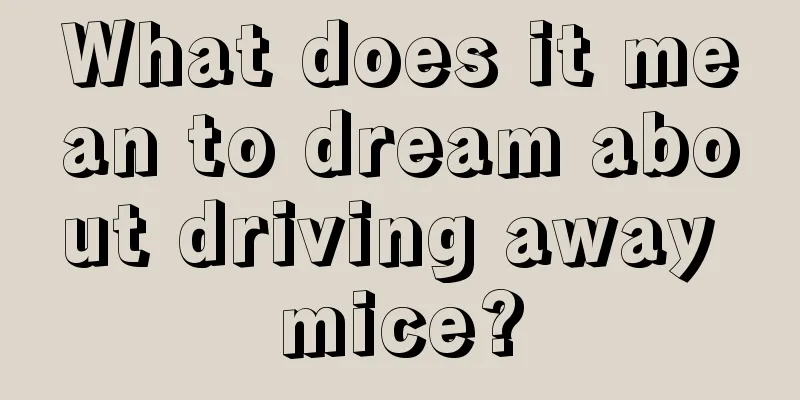 What does it mean to dream about driving away mice?