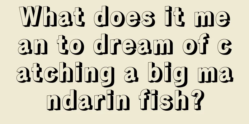 What does it mean to dream of catching a big mandarin fish?