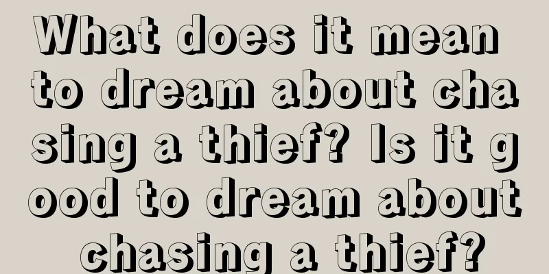 What does it mean to dream about chasing a thief? Is it good to dream about chasing a thief?