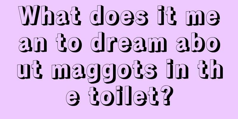 What does it mean to dream about maggots in the toilet?