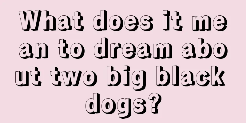 What does it mean to dream about two big black dogs?