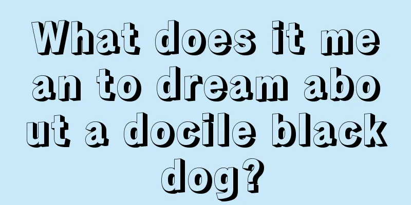 What does it mean to dream about a docile black dog?