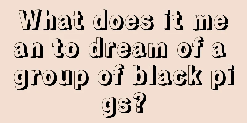 What does it mean to dream of a group of black pigs?