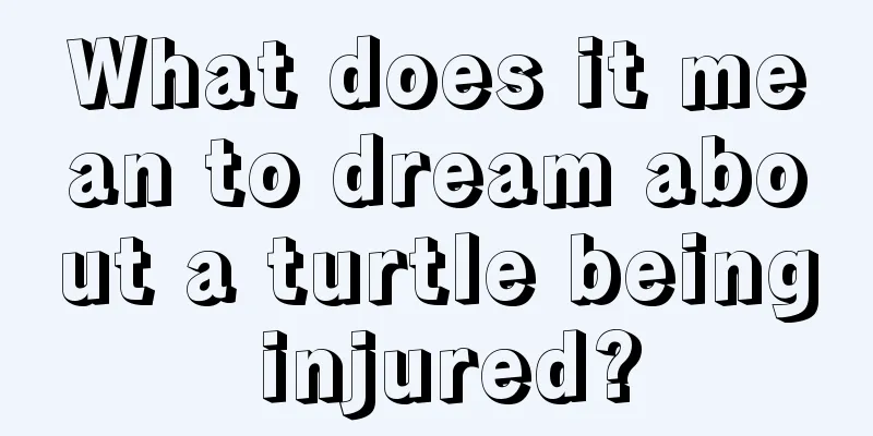 What does it mean to dream about a turtle being injured?