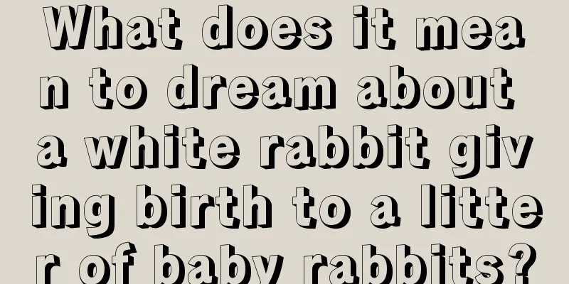 What does it mean to dream about a white rabbit giving birth to a litter of baby rabbits?