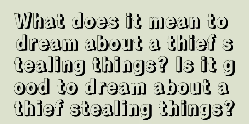 What does it mean to dream about a thief stealing things? Is it good to dream about a thief stealing things?