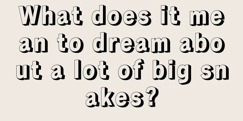 What does it mean to dream about a lot of big snakes?