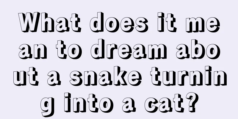 What does it mean to dream about a snake turning into a cat?