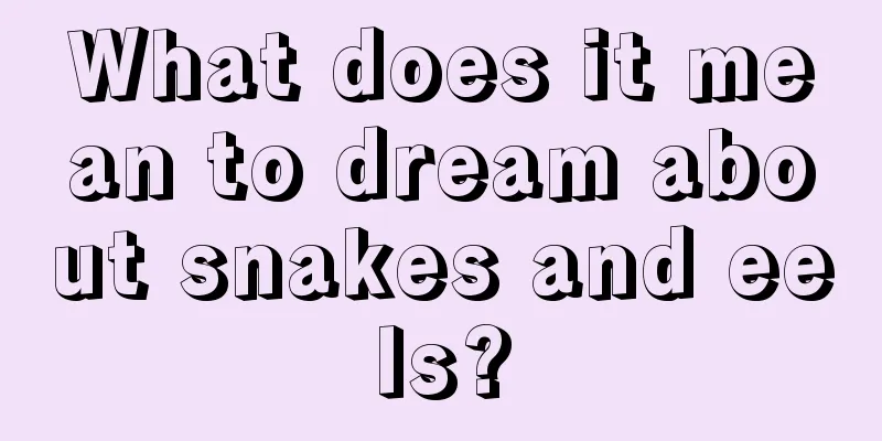 What does it mean to dream about snakes and eels?