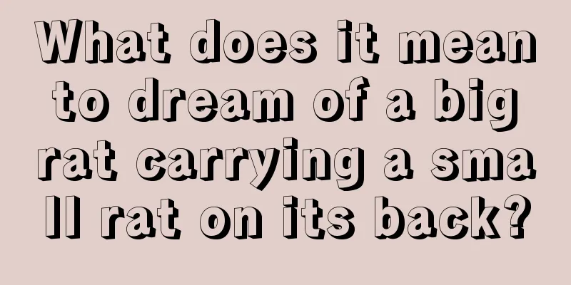 What does it mean to dream of a big rat carrying a small rat on its back?