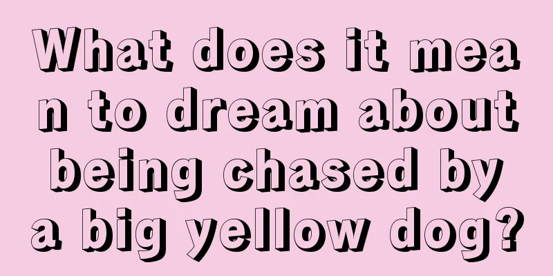 What does it mean to dream about being chased by a big yellow dog?