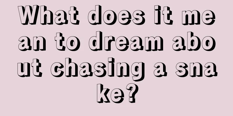 What does it mean to dream about chasing a snake?