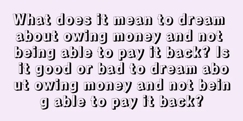 What does it mean to dream about owing money and not being able to pay it back? Is it good or bad to dream about owing money and not being able to pay it back?