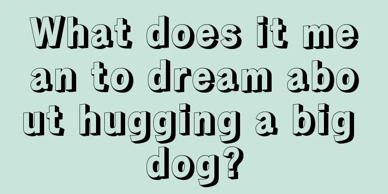 What does it mean to dream about hugging a big dog?