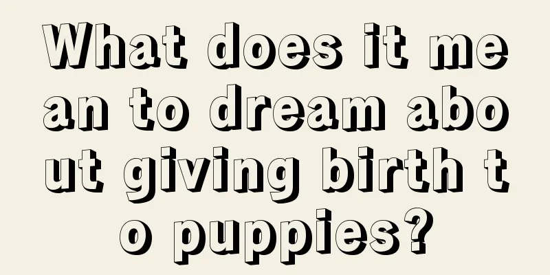 What does it mean to dream about giving birth to puppies?