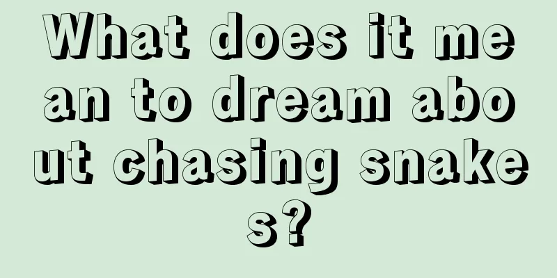 What does it mean to dream about chasing snakes?