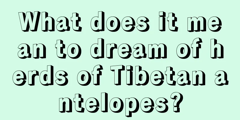 What does it mean to dream of herds of Tibetan antelopes?