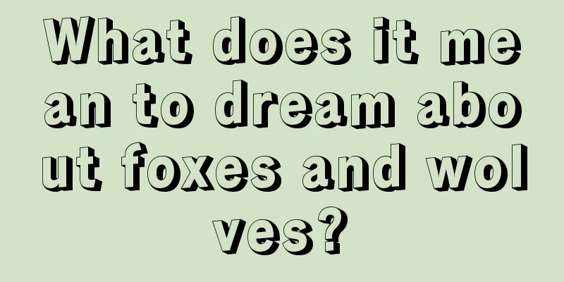 What does it mean to dream about foxes and wolves?