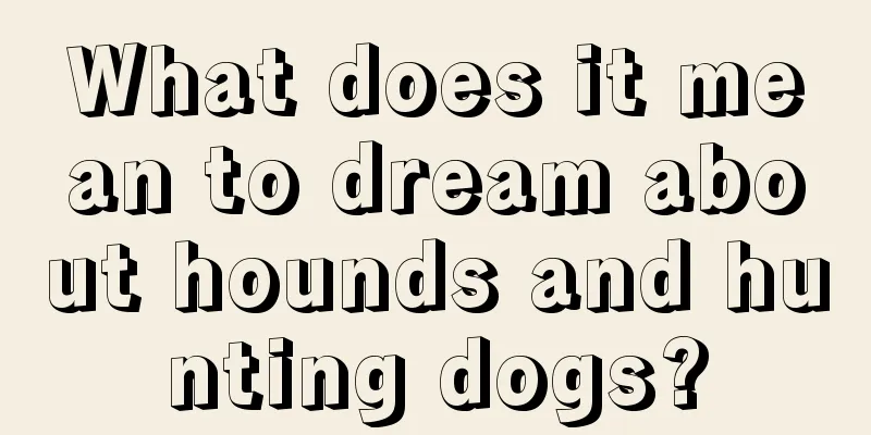 What does it mean to dream about hounds and hunting dogs?