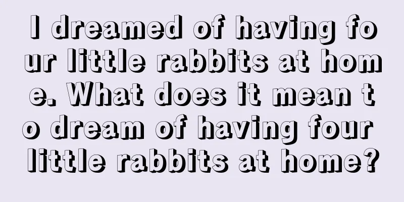 I dreamed of having four little rabbits at home. What does it mean to dream of having four little rabbits at home?