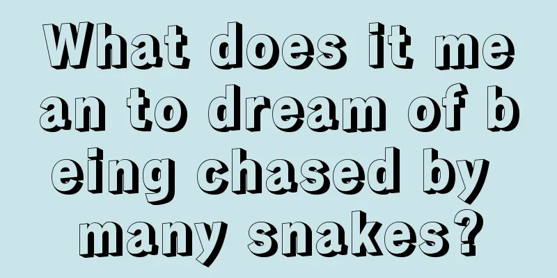 What does it mean to dream of being chased by many snakes?