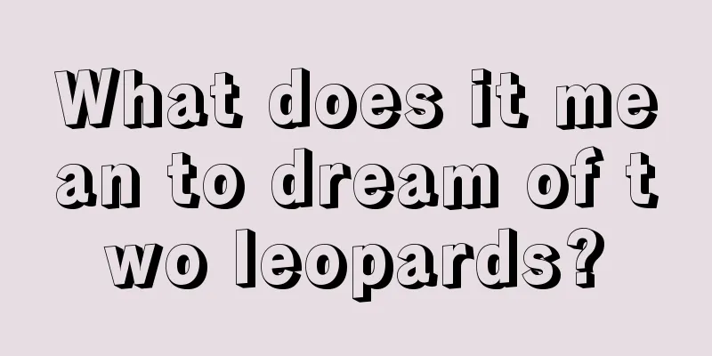 What does it mean to dream of two leopards?