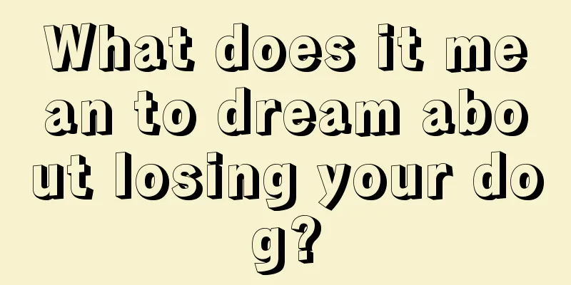 What does it mean to dream about losing your dog?