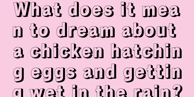 What does it mean to dream about a chicken hatching eggs and getting wet in the rain?