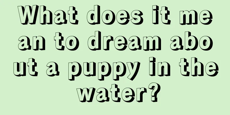 What does it mean to dream about a puppy in the water?