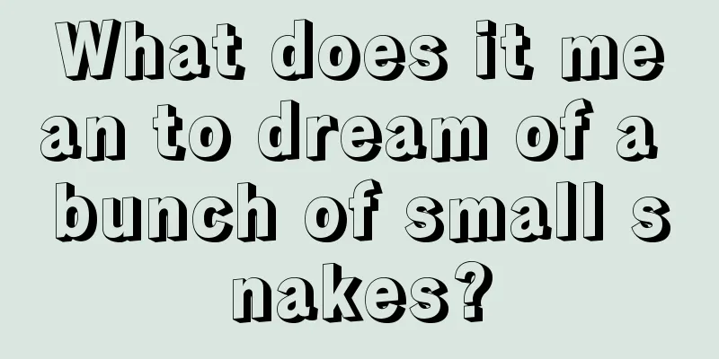 What does it mean to dream of a bunch of small snakes?