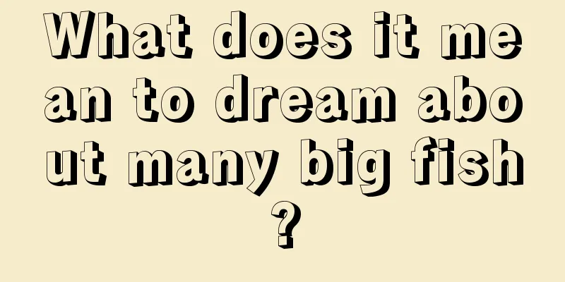 What does it mean to dream about many big fish?