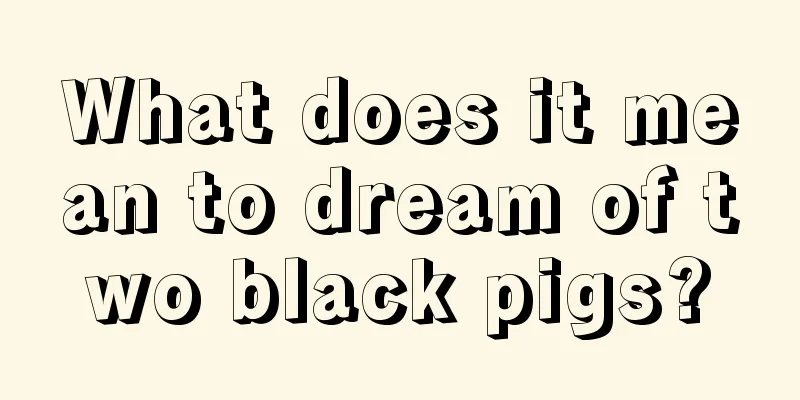 What does it mean to dream of two black pigs?