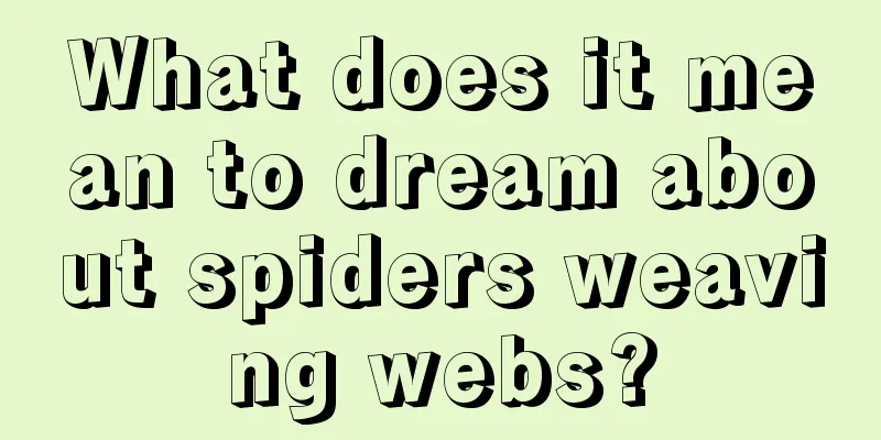 What does it mean to dream about spiders weaving webs?