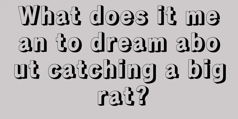 What does it mean to dream about catching a big rat?