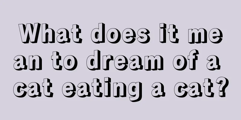 What does it mean to dream of a cat eating a cat?