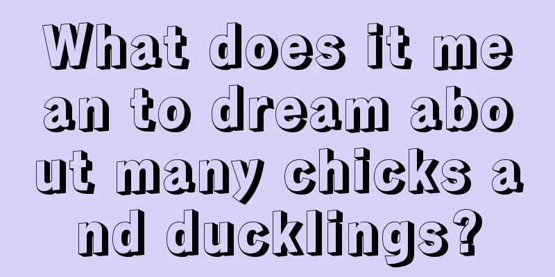 What does it mean to dream about many chicks and ducklings?