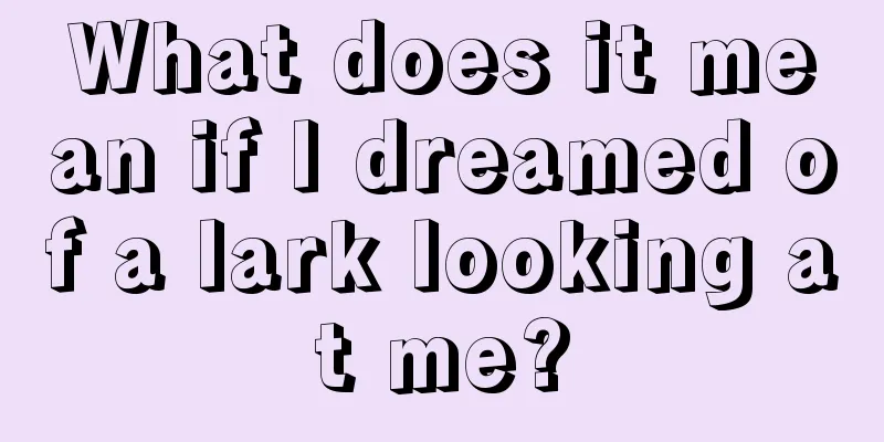 What does it mean if I dreamed of a lark looking at me?