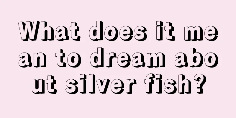 What does it mean to dream about silver fish?