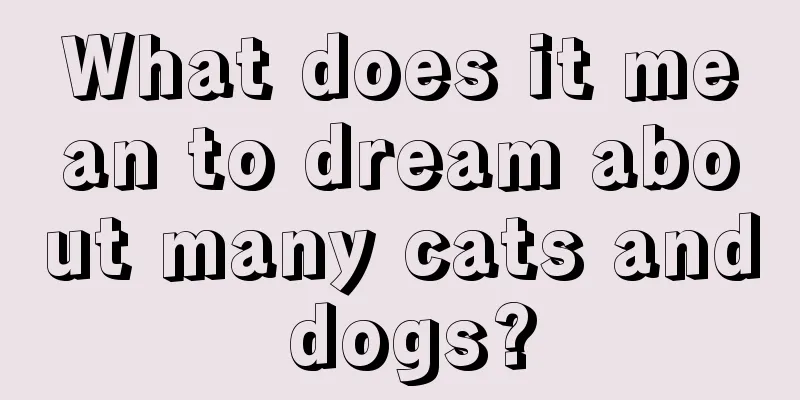 What does it mean to dream about many cats and dogs?