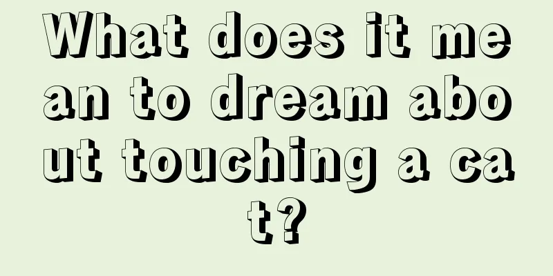 What does it mean to dream about touching a cat?