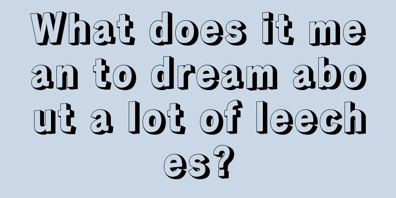 What does it mean to dream about a lot of leeches?