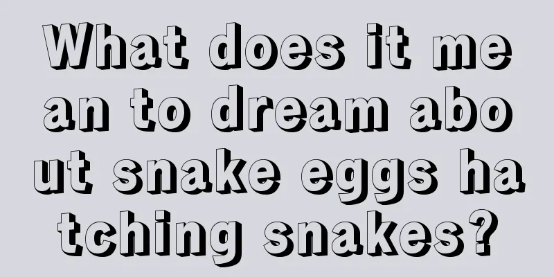 What does it mean to dream about snake eggs hatching snakes?