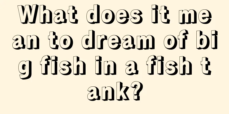 What does it mean to dream of big fish in a fish tank?