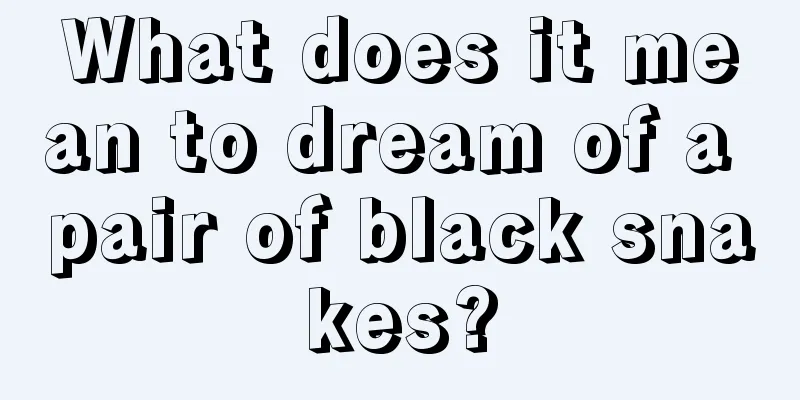 What does it mean to dream of a pair of black snakes?